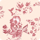 Pink Cherry Blossom