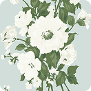 Tea Green Shade