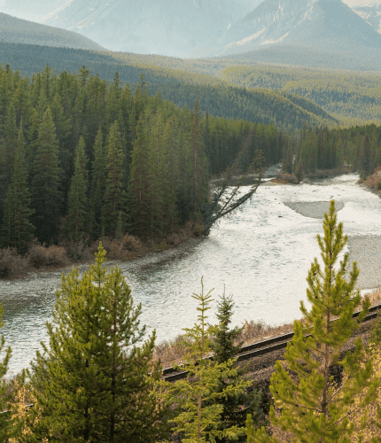 PROCESSUS ÉCOLOGIQUE
