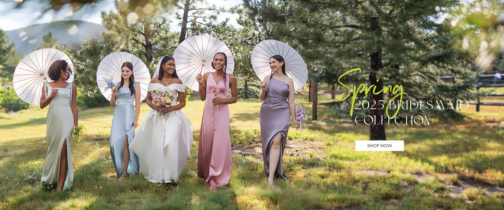 Wedding Dresses, Bridesmaid Dresses, Wedding Guest Dresses | AW.Bridal ...