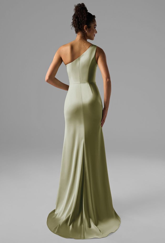 AW Rohan Dress