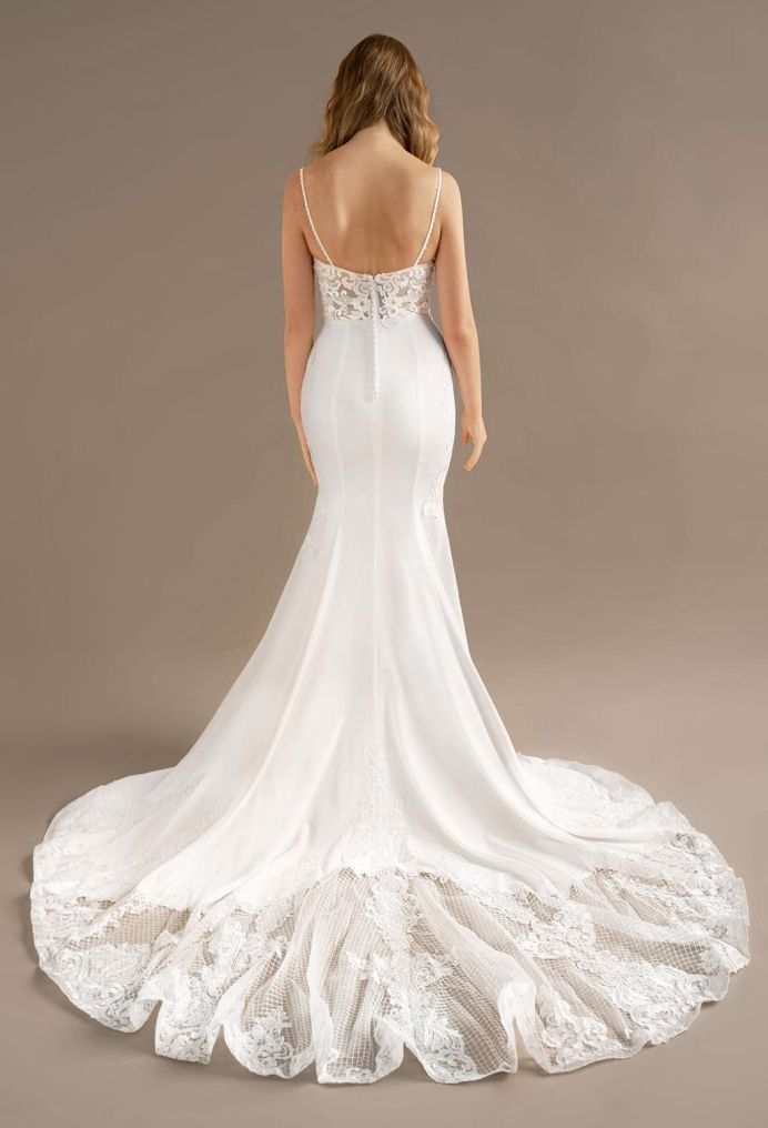 AW Anias Wedding Wedding Dresses image2