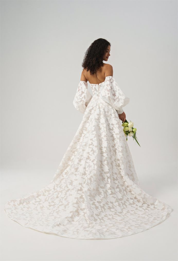 AW Celaeno Wedding Wedding Dresses image2