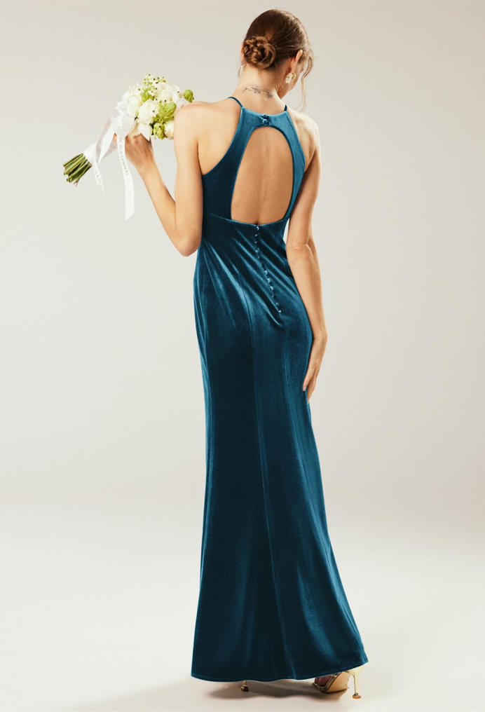 AW Steppe Dress